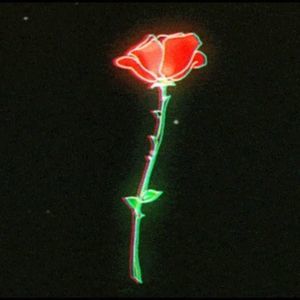 Meet your Posher, Jovan